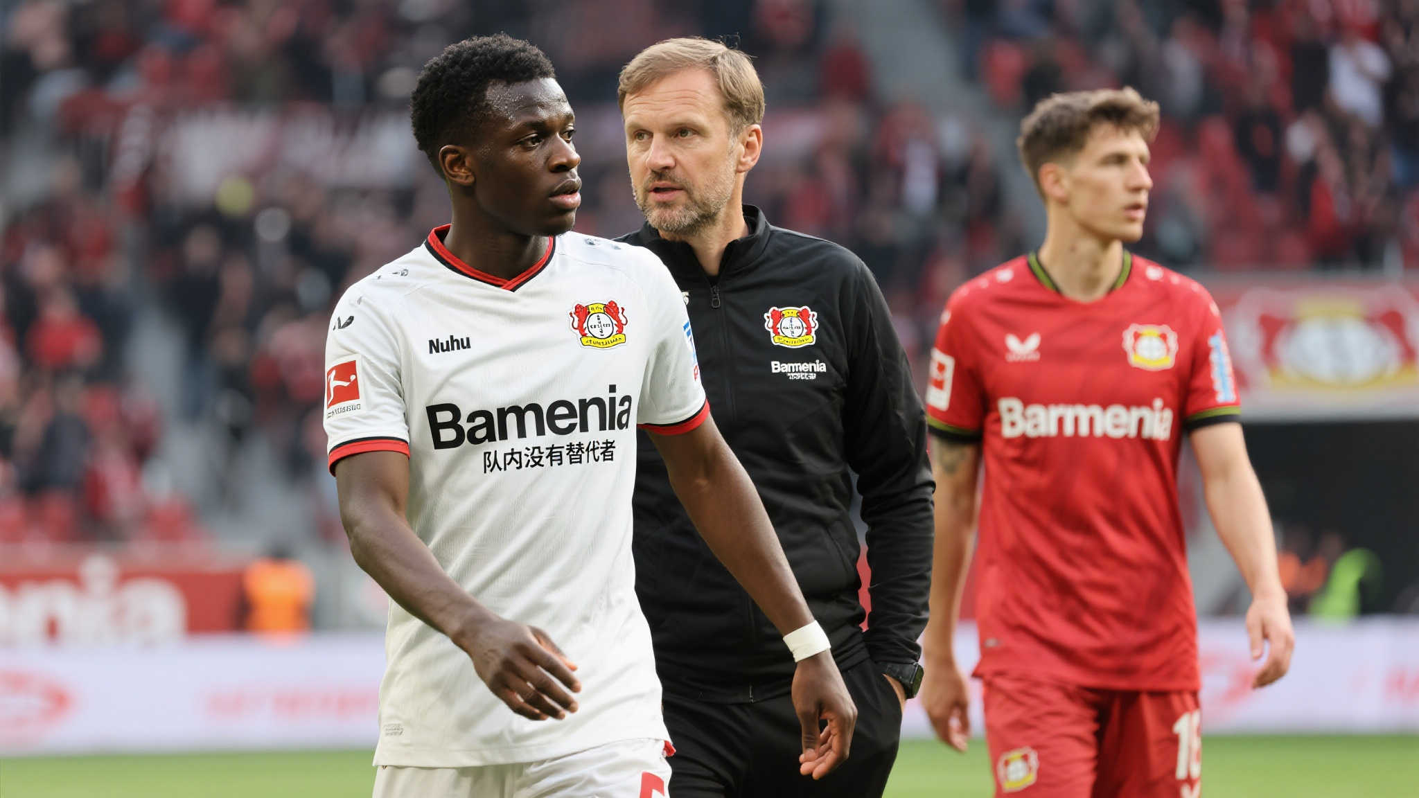 世界杯竞猜介绍